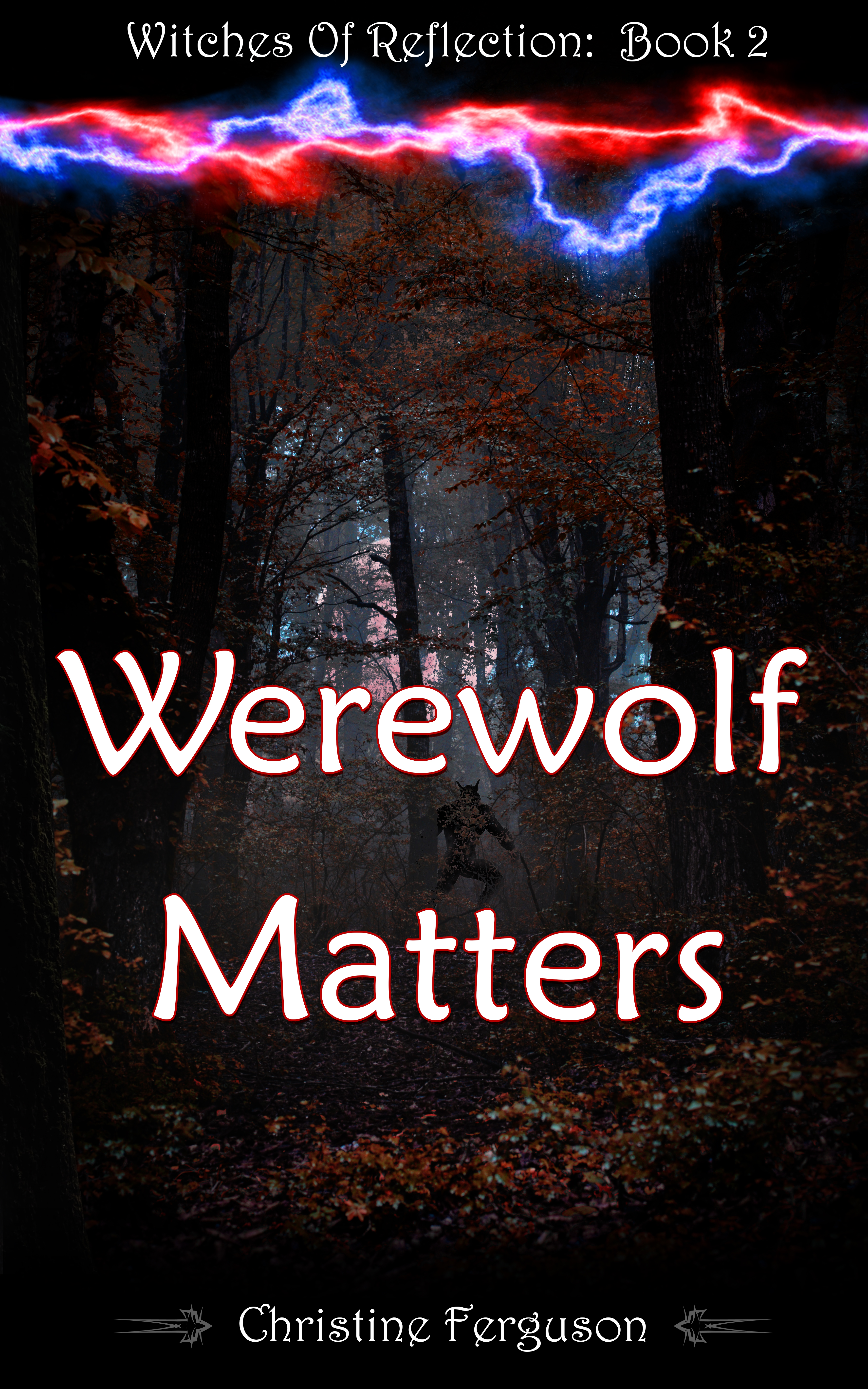 Werewolf Matters - Witches of Reflection Book 1